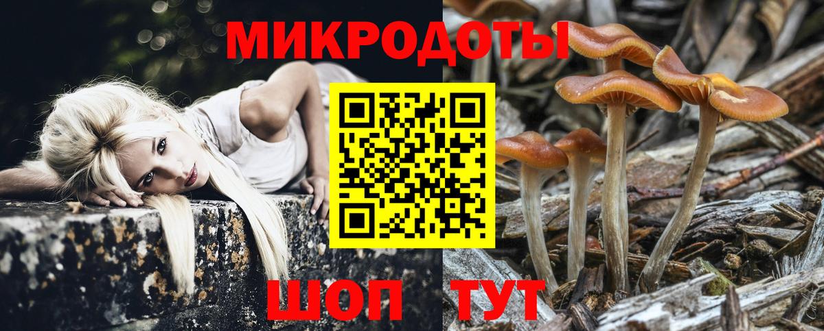 Псилоцибиновые грибы Psilocybine cubensis  Вход с VPN  Ногинск 